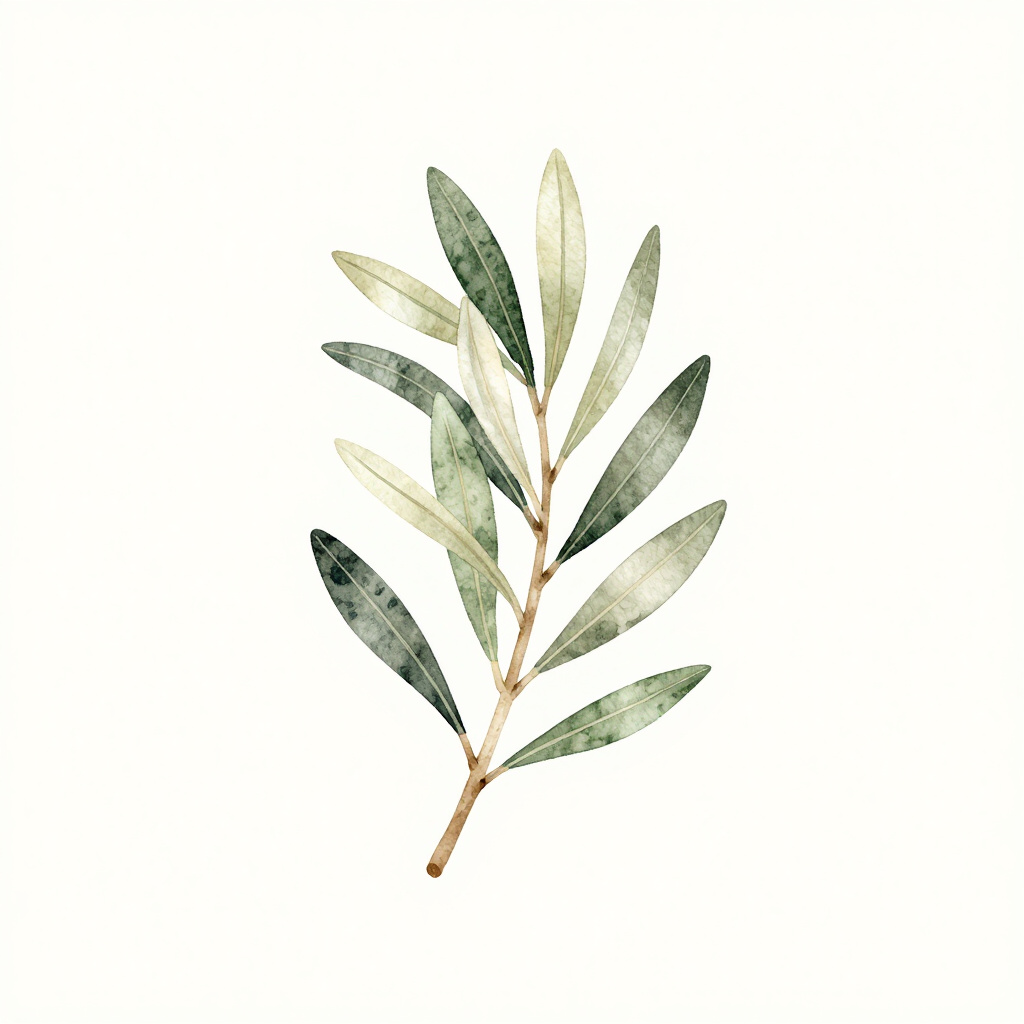 Watercolor olive branch illustration